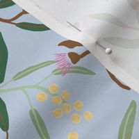 Australian wattle flowers, gum blossoms, eucalyptus leaves on baby blue - medium