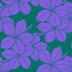 medium-purple and green Plumeria-line drawing-fuscia