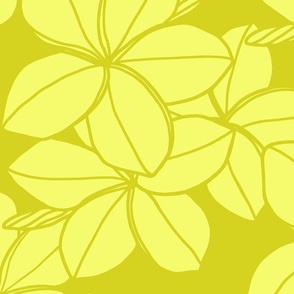 Jumbo-yellow Plumeria