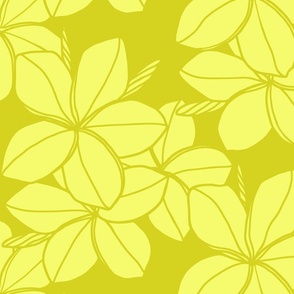 medium-yellow Plumeria-line drawing