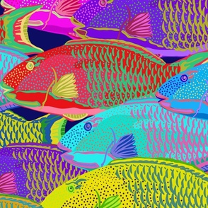 jumbo-Rainbow Parrotfish School-