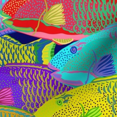 medium- Rainbow Parrot Fish School