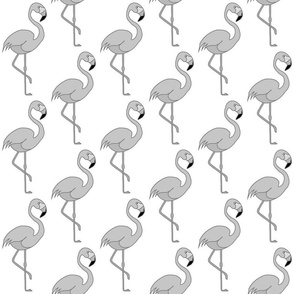 Flamingos on Parade... silver grey on white, medium 