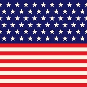 Independence Day / 4th of July / Flag