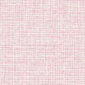 Solid Pink Plain Pink Natural Texture Small Stripes and Checks Grunge Cotton Candy Light Pink Baby Pink F1D2D6 Fresh Modern Abstract Geometric