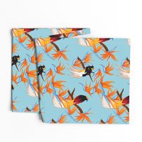 Birds of Paradise on Blue