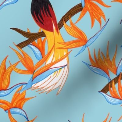 Birds of Paradise on Blue