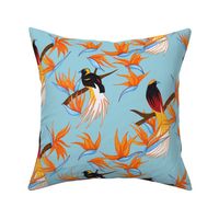 Birds of Paradise on Blue