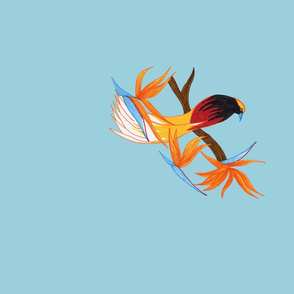 Single Bird of Paradise on Powder Blue