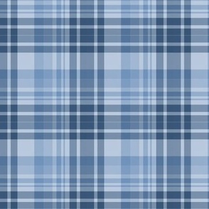 Blue Plaid-Block