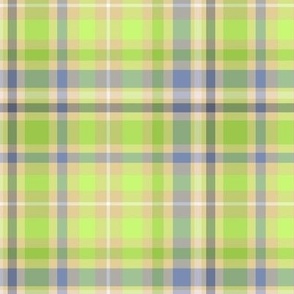 Green Light Plaid