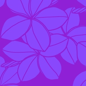 jumbo-Surfside Mod Plumeria-violet blue