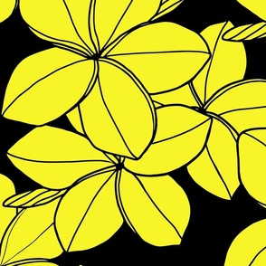 jumbo-Surfside Plumeria-yellow black 
