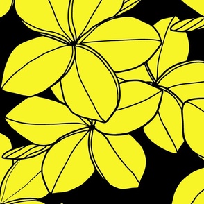 medium-Surfside Plumeria-yellow black