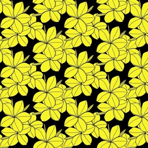 small-Surfside Plumeria-yellow black 