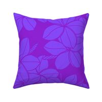 medium-Mod Plumeria-violet blue