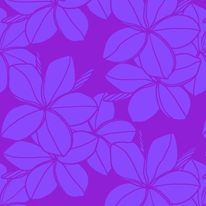 medium-Mod Plumeria-violet blue