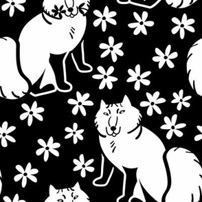 Arctic Fox Nordic style black background 