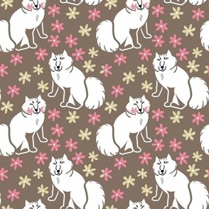 Arctic Fox Nordic style brown spring background 