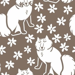 Arctic Fox Nordic style brown and white