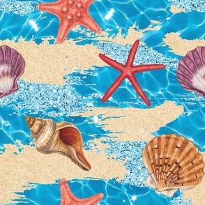 Beach Sea Shells Ocean Sand