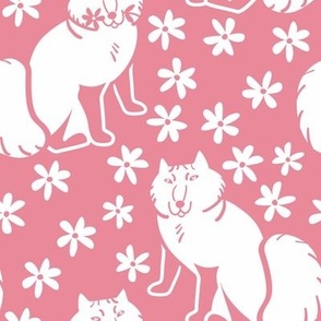 Arctic Fox Nordic style  Pink and White