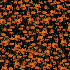 Orange poppy repeat black