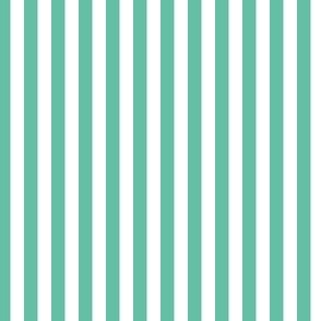 Aqua and white quarter inch stripe - vertical