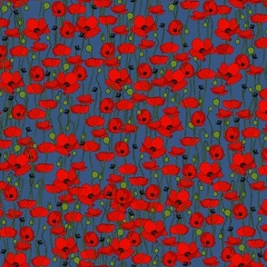Red poppy repeat mid blue - small