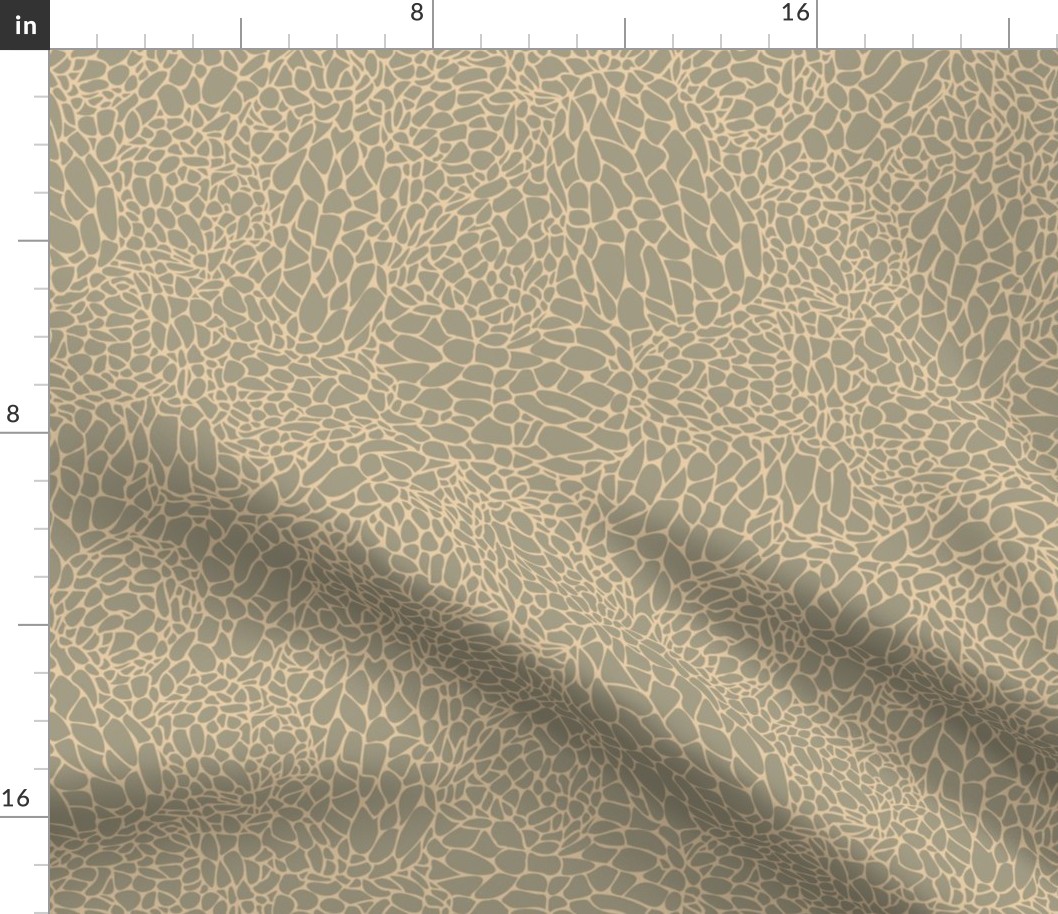 Morel Mushroom Texture (tan)