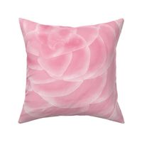 (XL)Pastel pink watercolor roses
