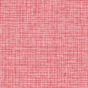 Solid Pink Plain Pink Natural Texture Small Stripes and Checks Grunge Watermelon Pink Coral DF737B Fresh Modern Abstract Geometric