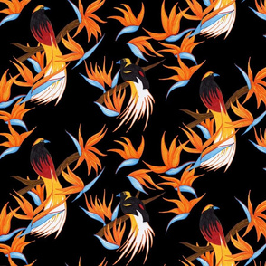 Birds of Paradise on Black