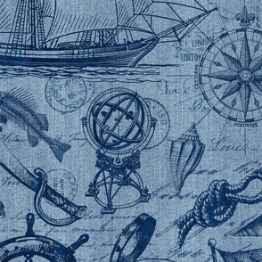 Ahoy Pirates Adventure Of The Seven Seas Blue Denim 
