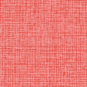Solid Red Plain Red Natural Texture Small Stripes and Checks Grunge Coral Red Orange EC5E57 Fresh Modern Abstract Geometric