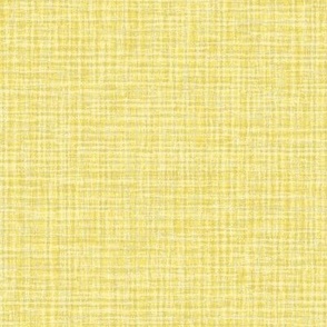 Solid Yellow Plain Yellow Natural Texture Small Stripes and Checks Grunge Buttercup Yellow Gold Baby Yellow F1E377 Fresh Modern Abstract Geometric