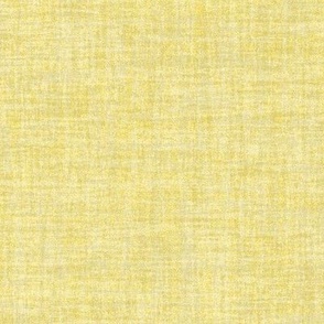 Solid Yellow Plain Yellow Natural Texture Celebrate Color Buttercup Yellow Gold Baby Yellow F1E377 Fresh Modern Abstract Geometric