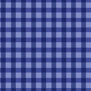 Blue and Purple Gingham Check Pattern