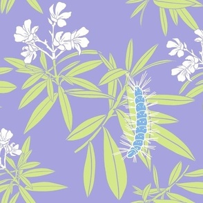 Estero  Caterpillar purple
