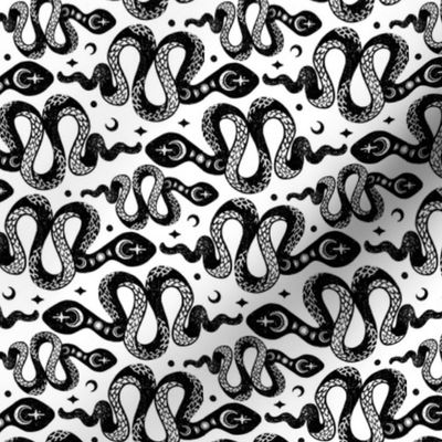 Black and White Rotated Moon Snakes by Angel Gerardo - Small Scale
