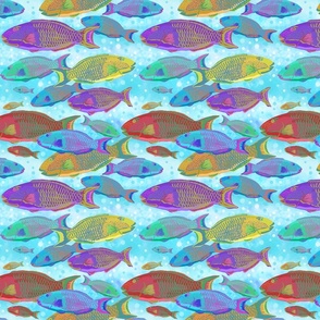 small-Parrotfish School bubbles-light blue bkgrd.