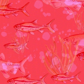 Fish are Friends in Pink