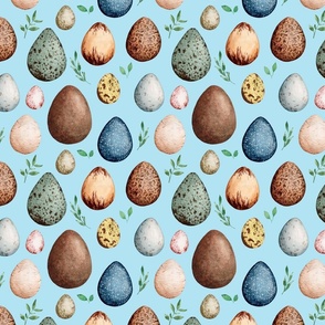 Bird Eggs on Blue (Large)