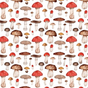 Toadstools and Mushrooms (Large)