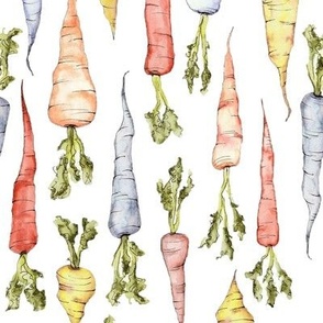 Watercolor Carrots