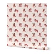 cats meow tigers in blush pink