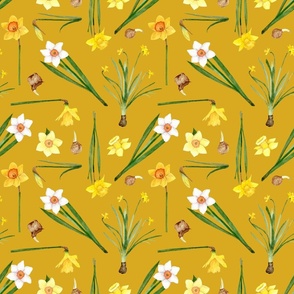 Daffodils on Golden Yellow