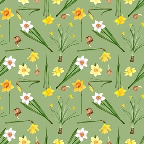 Daffodils on Spring Green