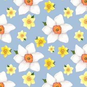 Sky Blue Daffodil Heads