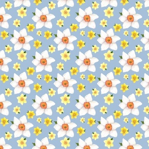 Sky Blue Daffodil Heads